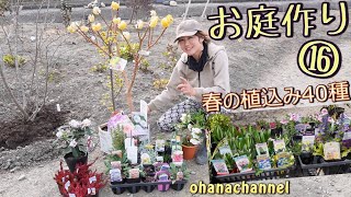 【庭作り⑯】春の植込み40種☆常緑樹～宿根草、地被植物など🌼植えまくり✨咲いた植物の紹介もﾟ∀ﾟ❤Plant 40 kinds of spring trees and flowers🌳🌼🌸 [upl. by Aremat]