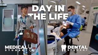 Day in the Life of a Medical Student vs Dental Student [upl. by Pete828]