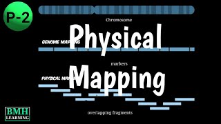 Physical Mapping  Physical Mapping Techniques  Difference Between Genetic Map And Physical Map [upl. by Deys]