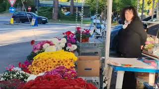 Terni Visitatori al cimitero ma non tantissimi [upl. by Wolenik549]