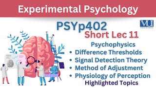 PSYp402 Short Lecture 11PsychophysicsDifference ThresholdMethod of AdjustmentPerceptionPsy402 [upl. by Ardnuasak]