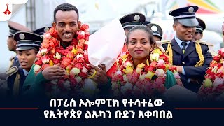 በፓሪስ ኦሎምፒክ የተሳተፈው የኢትዮጵያ ልኡካን ቡድን አቀባበል Etv  Ethiopia  News zena [upl. by Airtemak]