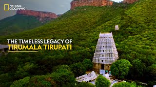 The Timeless Legacy of Tirumala Tirupati  Inside Tirumala Tirupati  National Geographic [upl. by Ferde724]