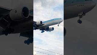 Korean Air cargo Flight Landing at Heathrow airport London [upl. by Nadabus255]