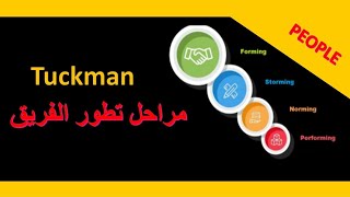 TUCKMAN Model مراحل تطور الفريق [upl. by Colas292]