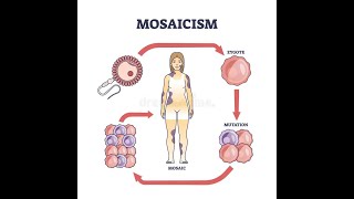 Understanding the concept of chimerism Chimera Mosaicism Natural chimerism [upl. by Datha571]