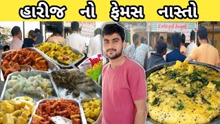 હારીજનો ફેમસ નાસ્તો જો તમે પણ નાસ્તાના શોખીન છો તો એકવાર જરૂર મુલાકાત લો  Harij No Famous Nasto [upl. by Nidroj]