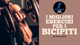 💪 I migliori esercizi per i bicipiti  3 varianti da provare 💪 [upl. by Godding]