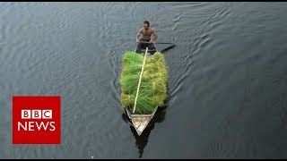 The Floating Farms of Bangladesh  BBC News [upl. by Nyvets]