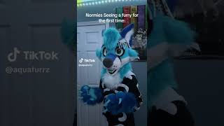 Furry haters are cringy furry furries fursuit viral tiktok fyp shorts [upl. by Lehsar987]