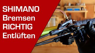 SHIMANO Bremsen entlüften  befüllen  MTB  ROAD  Deutsches Tutorial [upl. by Treb250]