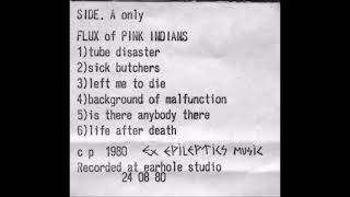 FLUX OF PINK INDIANS [upl. by Aletta]