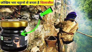 शिलाजीत की खेती कैसे होती है How Shilajit Is Made  Shilajit kaise banta hai [upl. by Neeluj]