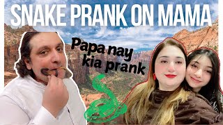 Snake 🐍 Prank On Mama Papa Nay Kiya Prank Daily Vlogs prankdailyvlog vlog [upl. by Andeee888]