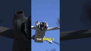 DJI MINI 3 vs MINI 2  ¿CUÁL ELEGIR  Comparativa A FONDO en Español [upl. by Nithsa]