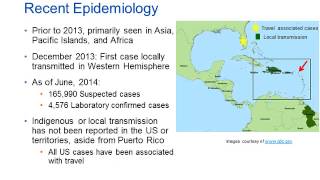 Chikungunya Virus Hot Topic [upl. by Hutson]