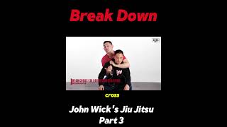 Breaks Down John Wicks Jiu Jitsupart 3 [upl. by Llerral]