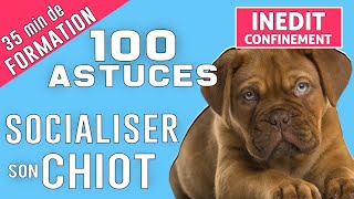 SOCIALISER son CHIOT en 100 ASTUCES [upl. by Sillert]