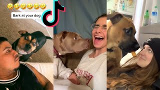 Bark At Your Dog Challenge  Funny Dog Video  Try Not To Laugh  TikTok Compilation [upl. by Trenna]