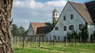 Edenkobener Pflanzen und Gartenmarkt Weinstraße Rietburgbahn [upl. by Aonian533]