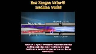 How Kangen Water® machine works [upl. by Neral]