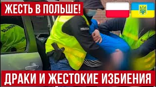 в Польше для украинцев становится небезопасно [upl. by Davide]