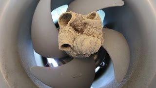 昆虫面白 ハチが換気扇に巣を作るとこうなる Beehive of ventilation fan [upl. by Laaspere]