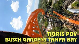 Tigris Roller Coaster Front amp Back Row POV at Busch Gardens Tampa Bay [upl. by Abba]