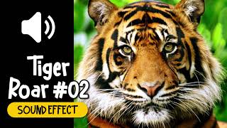 Tiger Roar 02 Sound Effect  老虎 02 吼叫 叫聲 動物 音效 High Quality [upl. by Aicrag69]