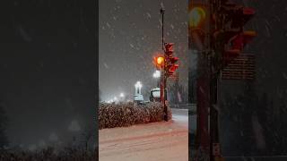 Snow anyone  banff canada winter [upl. by Siryt969]