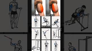 GET RIPPED ARMS WITH THESE POWERFUL EXERCISES Triceps Biceps Tricepsworkout bicepsworkout [upl. by Costanza]