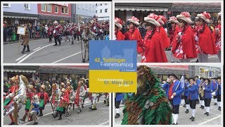 42 Tuttlinger Fasnetumzug am Samstag 02022019 [upl. by Eusoj]