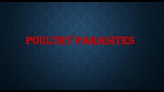 Ecto and Endo Parasites of Poultry [upl. by Honniball]