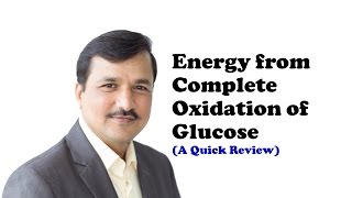 Energy from Complete Oxidation of Glucose [upl. by Elfrida]