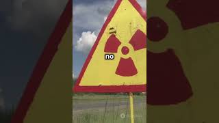 Fukushima Disaster The Nuclear Crisis of 2011 shorts factsnuclear disasterjapanindiahistory [upl. by Eerpud]