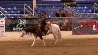 Titans 2018 Cactus Reining Classic Open Derby Run [upl. by Radbourne]