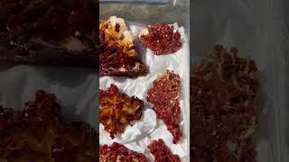 Menirals of Morocco called red vanadinite [upl. by Enrique]