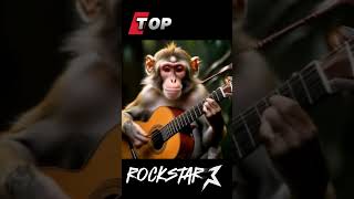 🎶 Assista o Macaco Talentoso 🐵 Tocar Incríveis Melodias 🎉 [upl. by Shepley]