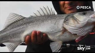 PESCA TV SKY 236  REALITY FISHING EXPLORER PANAMA 2  pillola [upl. by Nehtanhoj]