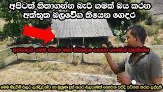 මුළු ගමක්ම බිය වද්දන මහියංගන ගමක වෙන අත්භූත සිදුවීමක් සුළු දෙයටත් බියට පත්වනන් වළකින්නGhostholman [upl. by Viglione]