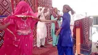 Sindhi Dance performance sindhi culture [upl. by Weiser]