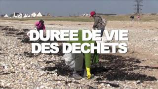 Déchets aquatiques  jusquà 4 tonnes par km de côtes dans le monde [upl. by Leivad]