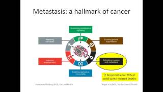 Nicholas Kurniawan  Understanding Cancer  Cell–matrix interactions and the 3D cell migration [upl. by Shermie893]