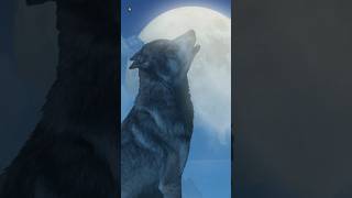 Wolf Sounds 🐺 Wolves Howling At Moon [upl. by Arther911]