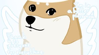 my tribute to Doge aka Kabosu [upl. by Adnahcal750]