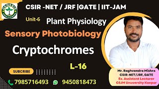 Cryptochrome  Structure Signaling amp Responses  Plant Physiology genesisinstitute [upl. by Eenolem]