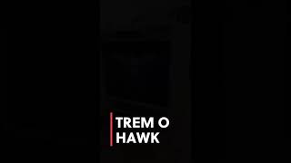 TREMO HAWK AMP W KT66 Power Tube [upl. by Ydner]