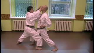 Heian Shodan kata Oyo bunkai 3 [upl. by Kevina]