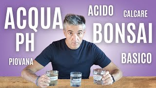 QUALE ACQUA UTILIZZARE per i BONSAI caratteristiche e PH [upl. by Ayanet680]