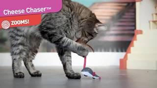 Petlinks® Cheese Chaser™ electronic cat toy [upl. by Tertius247]